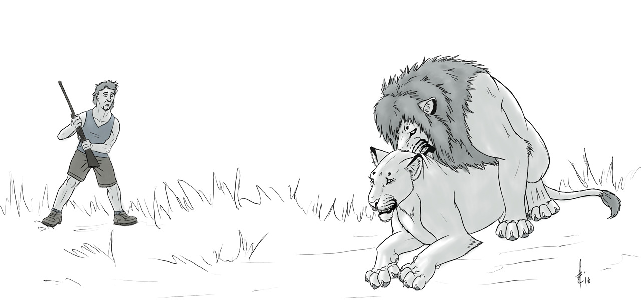 (blacktigerr) sides {7}