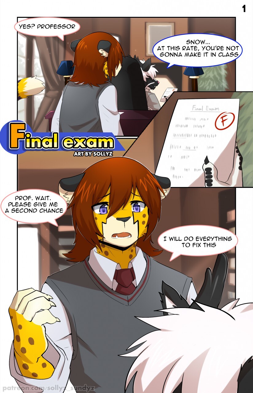 (sollyz) Final exam {8}