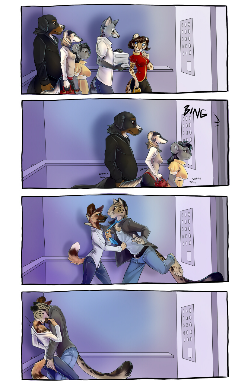 (demicoeur) 3 Dog Night Elevator {6}