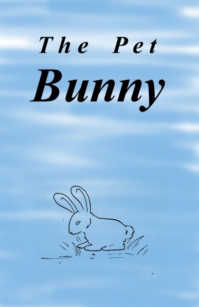 (ruaidri) The Pet Bunny {7}
